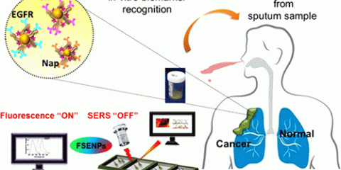 In Vitro Diagnostic (IVD)