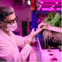 バイオフォトニクス