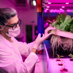 バイオフォトニクス