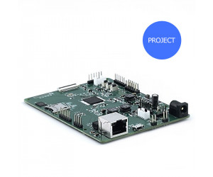 SAV531 AI SoC Project Development - ECS531P0AI